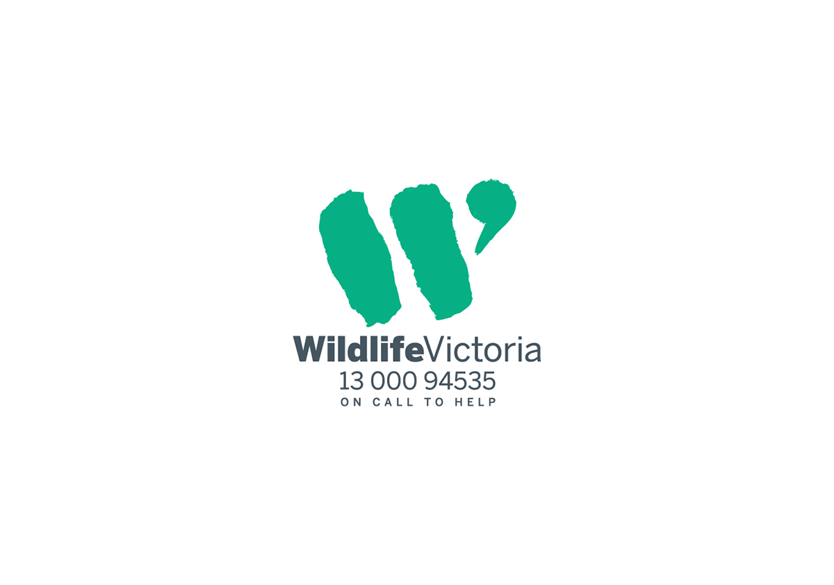 Wildlife Victoria RMIT  branding  identity