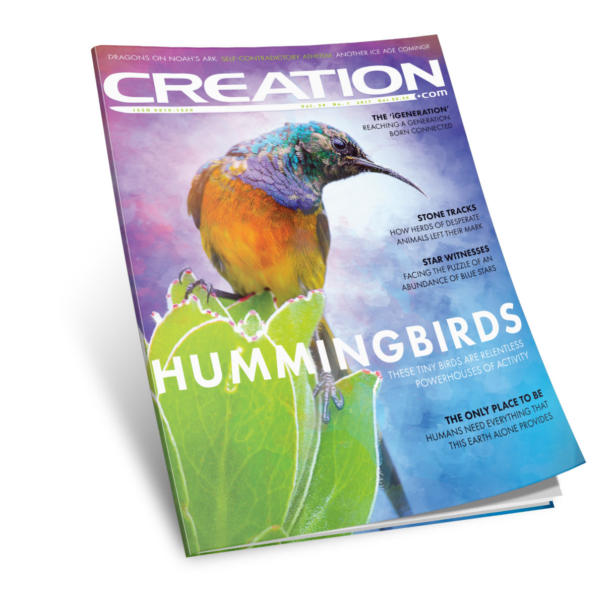 birds magazine cover