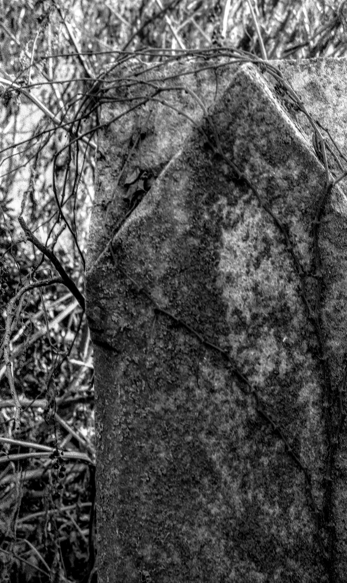 cemetery burial grave death Kentucky black and white die dead people film photography traditional tradition