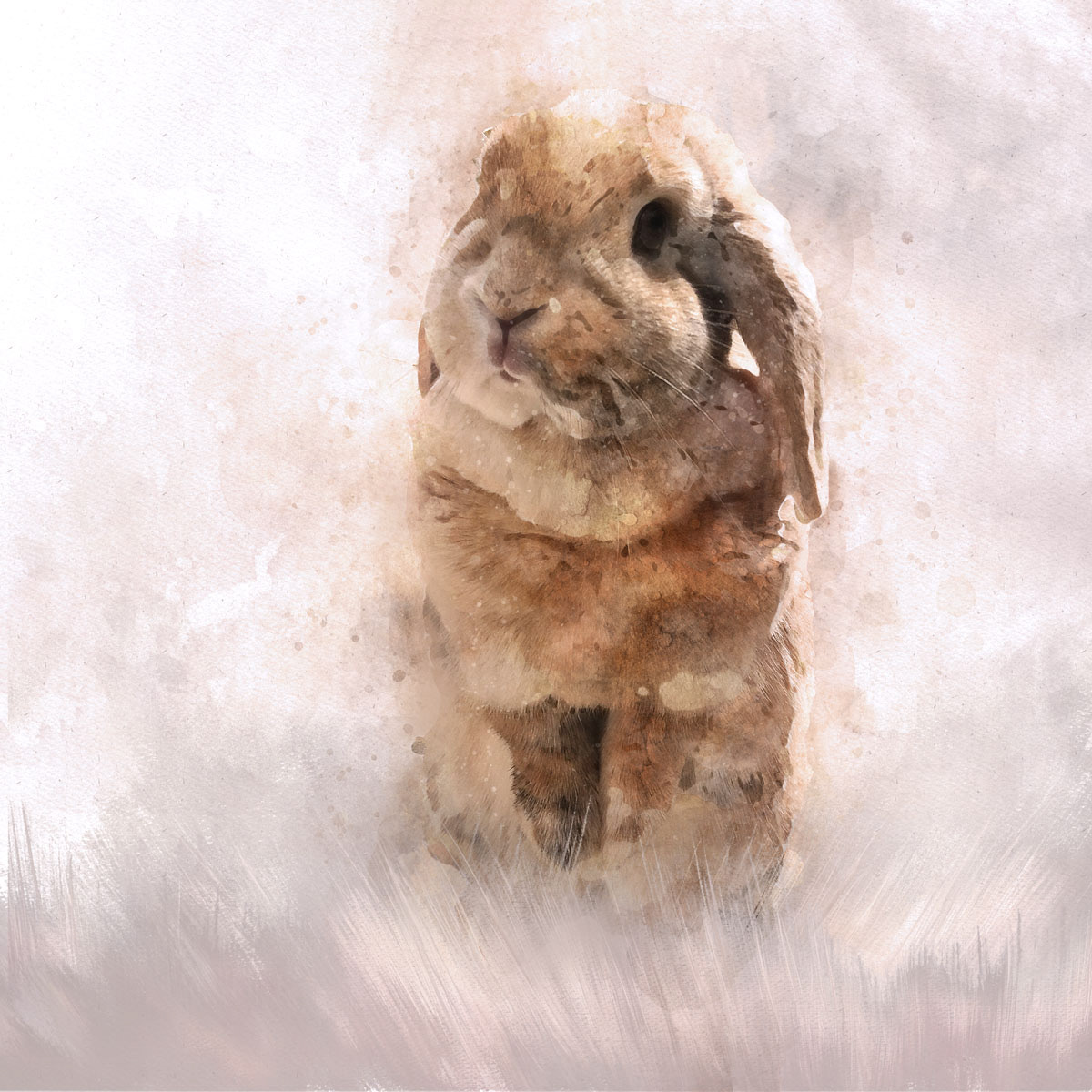 rabbit rabbits bunny Pet pets cute watercolour Watercolours watercolour Digital Art 