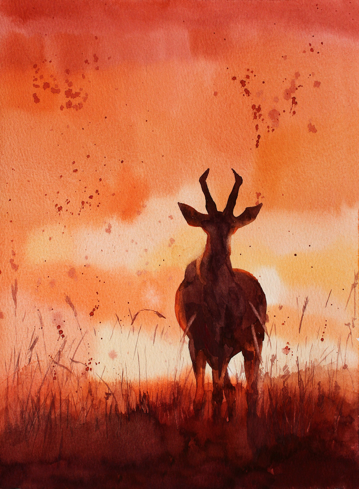 animals wildlife sunset Nature Landscape Travel watercolor antelope africa wildebeest
