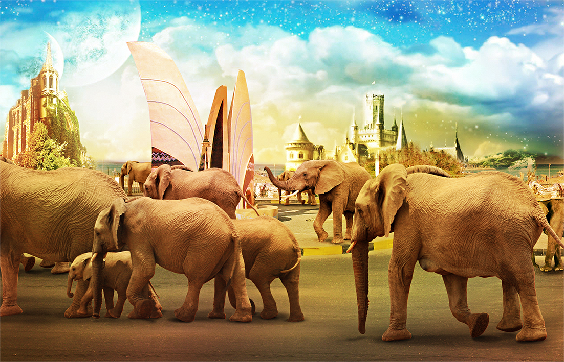 wonderland elephant SKY Street photomanipulation retouch colors