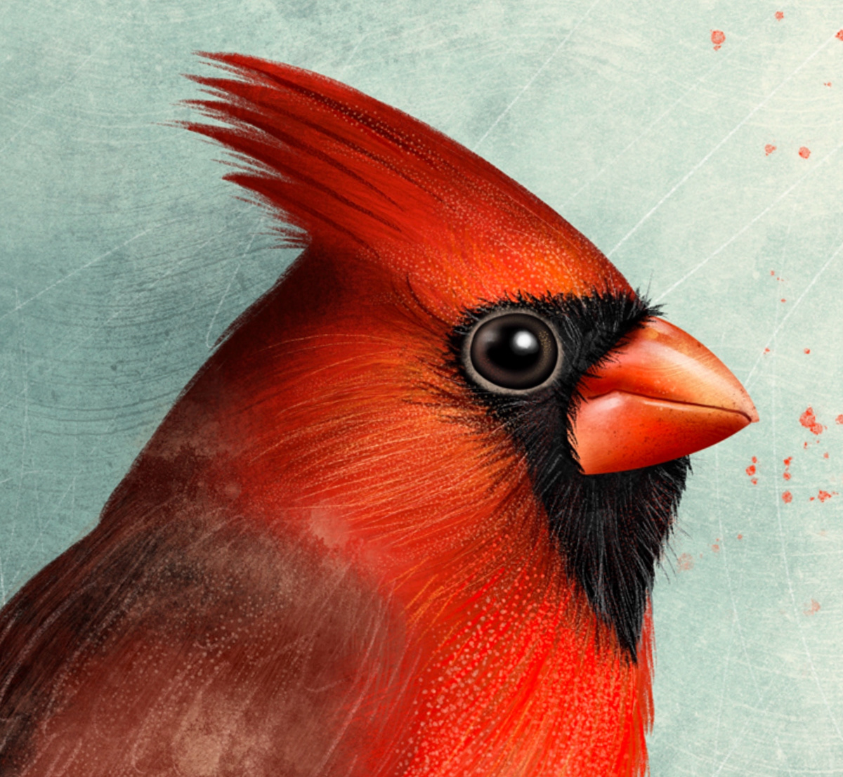bird birds Drawing  illustrations Nature nature illustration nightingale slavik