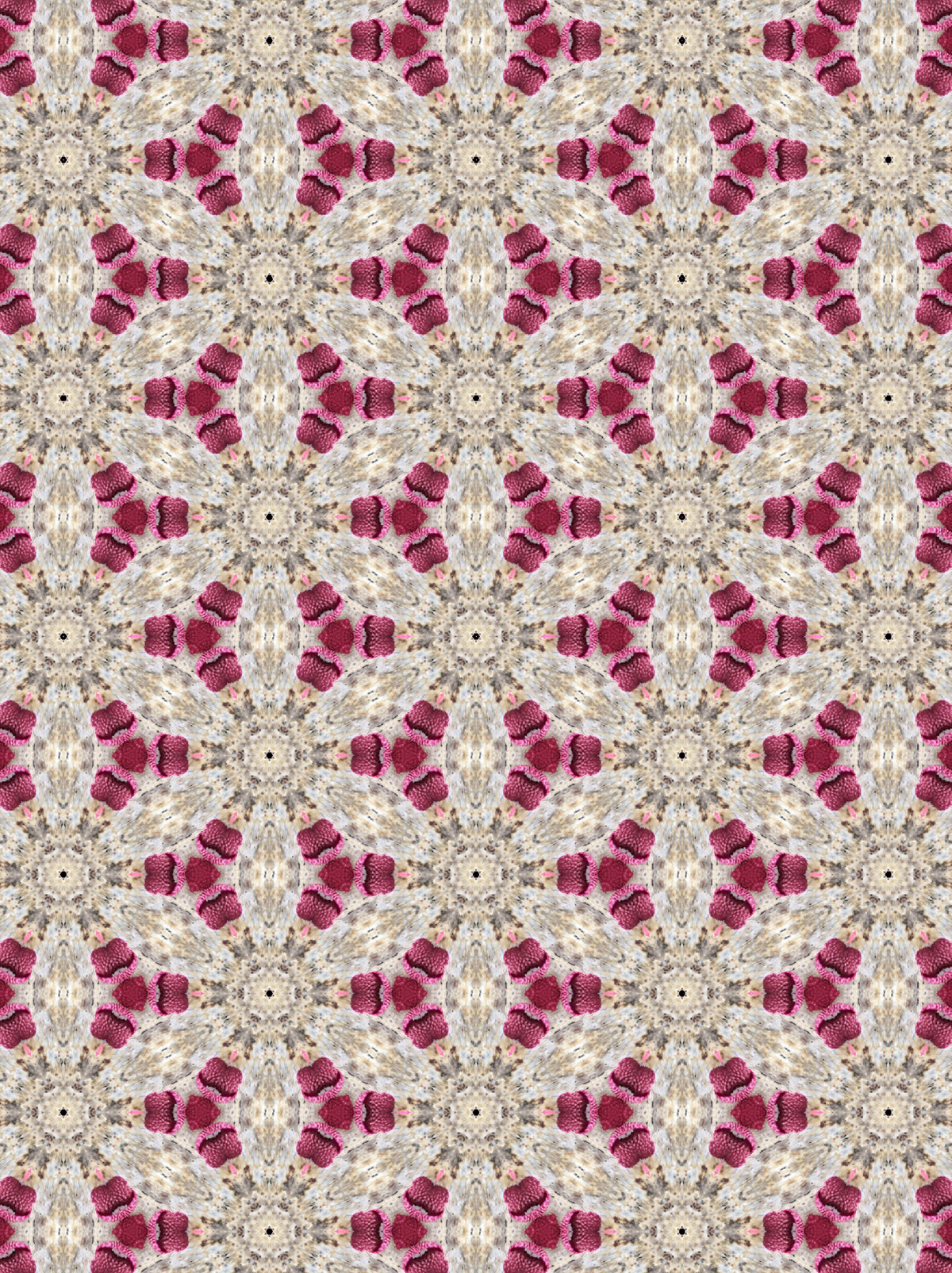pink Maroon White pattern