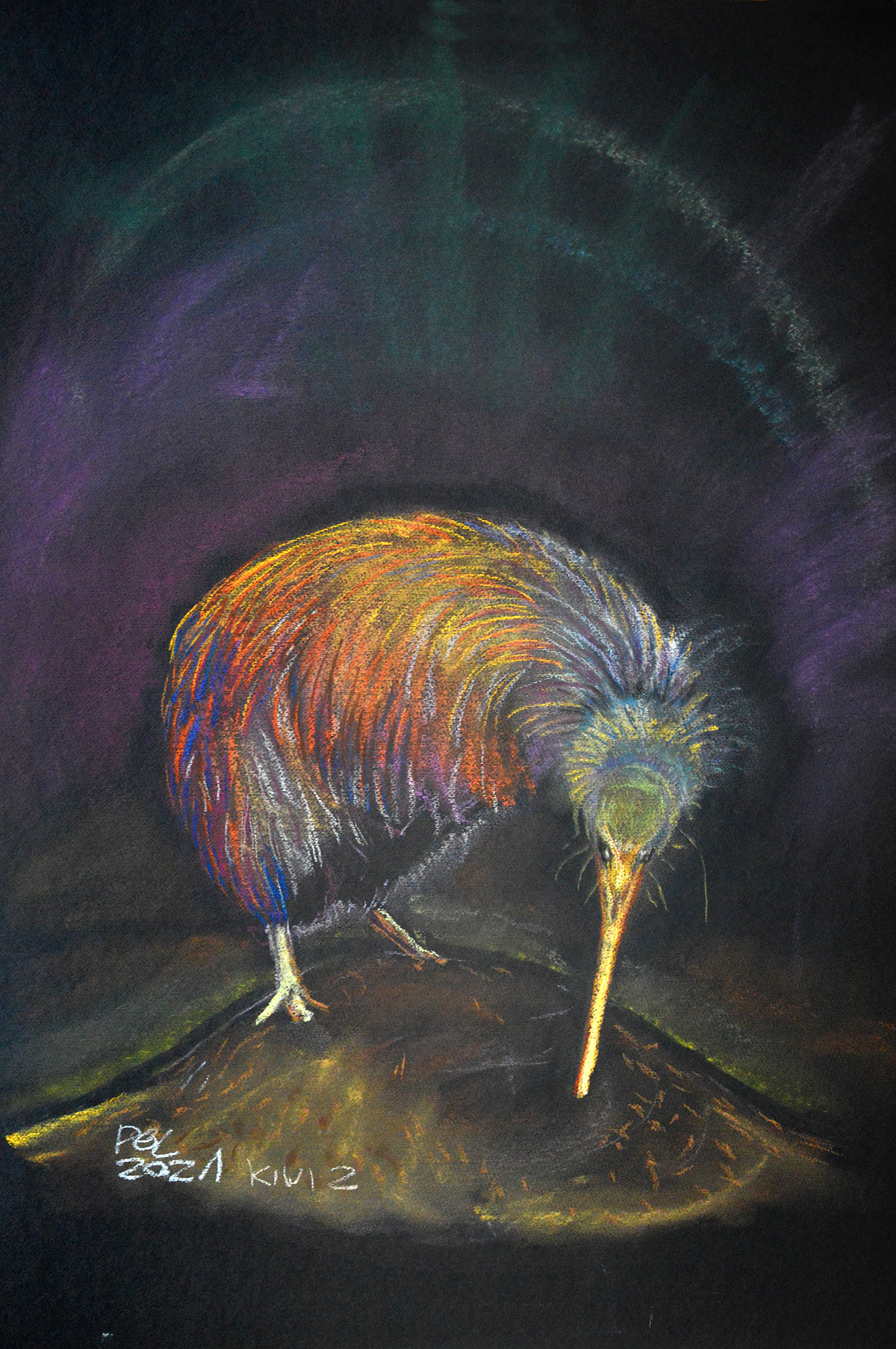 animal artwork bird Drawing  Nature painting   pastel