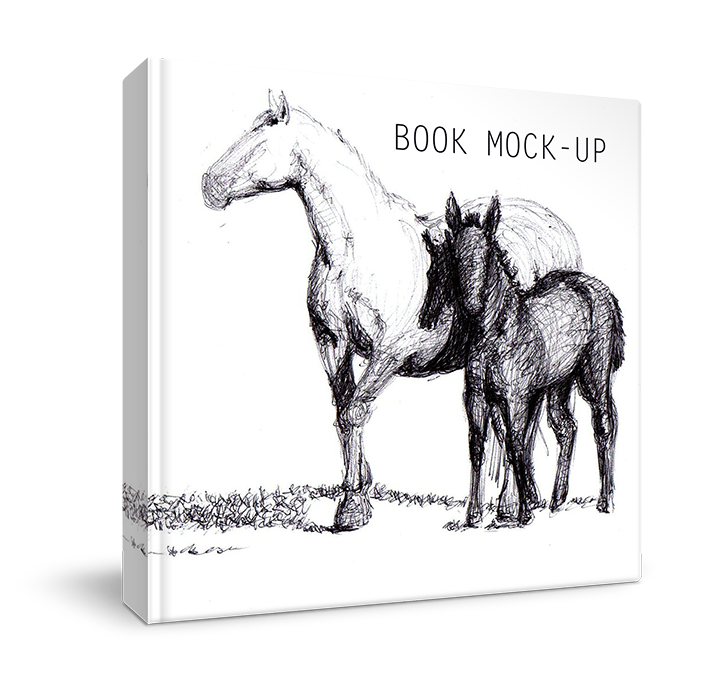 book book mockup book mock-up ebook book cover