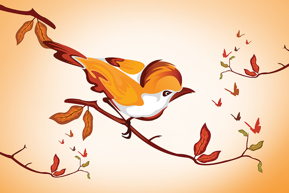 Little+Bird ILLUSTRATION  Bird+Cartoon Bird+Graphics Colorful+Bird Nature graphics Vector+Illustration