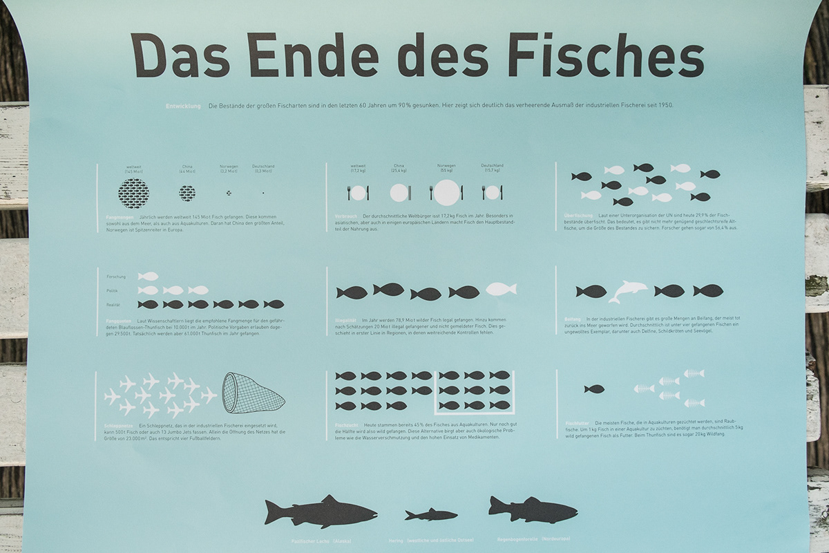 overfishing infographic poster