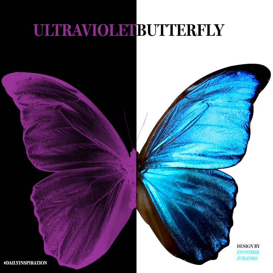 Butterfly - Slider effect Adobe XD on Behance
