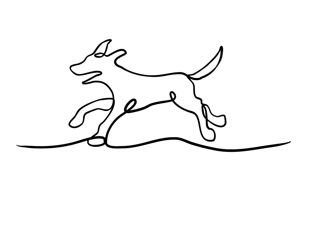 animal  Animal illustration single line drawing line drawing vet illustration  Illustration david hallangen