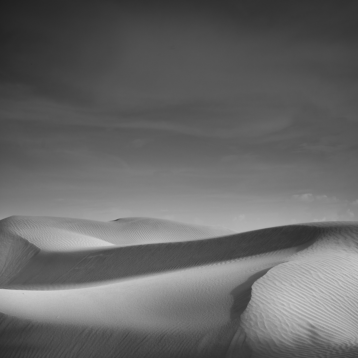 beauty of Indonesia black and white bw fine art daniel tjongari desert fine art indonesia Landscape Photography  Sony