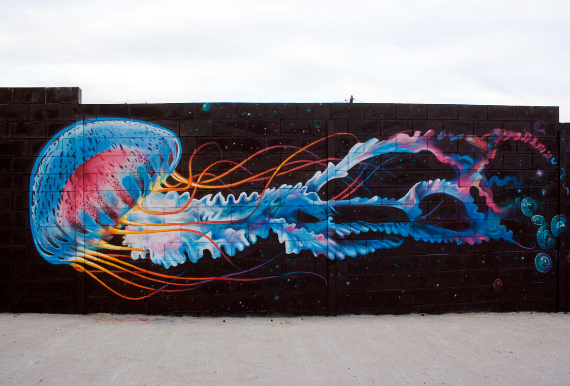 jellyfish walls spray