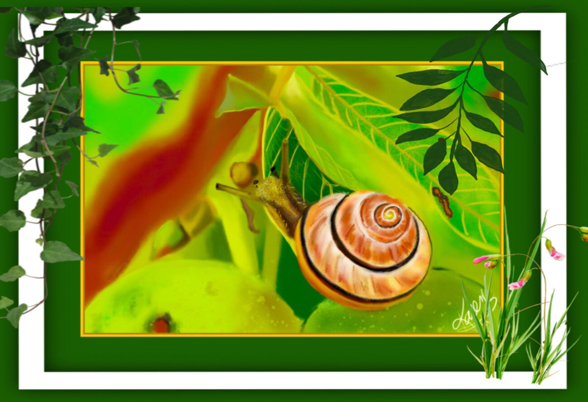 Digital Art  digital painting drawings illustrations animals bugs snails