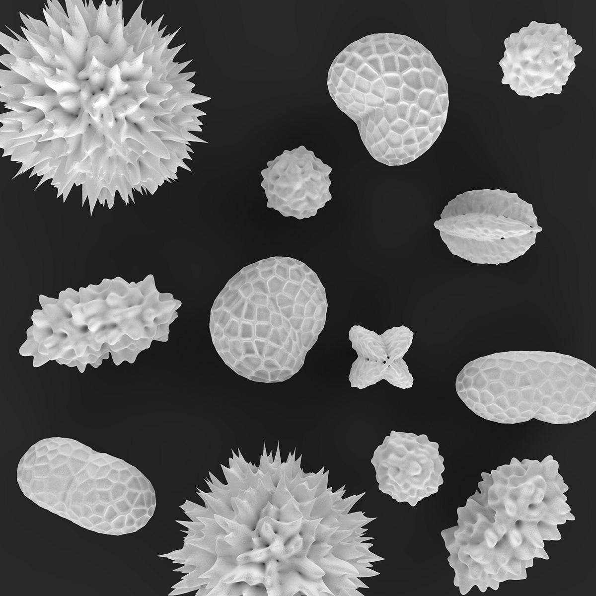 biomimicry biomimetic 3d print Nature