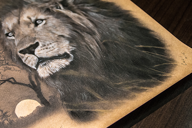 Cecil the Lion pencil portrait pencil portrait graphite pencil graphite pencil illustration fine arts portrait sketch pencil sketch doodle art lion wildlife Cecil