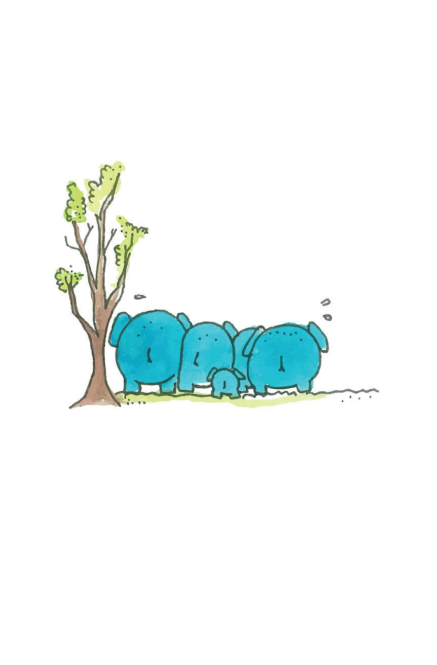 Baby Elephant book illstration Illustrator children's book children comics cartoon watercolour elephant Simple sketches 