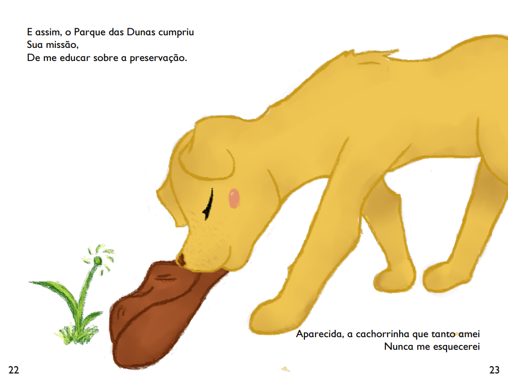 livro ilustrado digital illustration Parque das Dunas salvador preservação Educação Ambiental design de personagem Livro Infantil Ilustrado