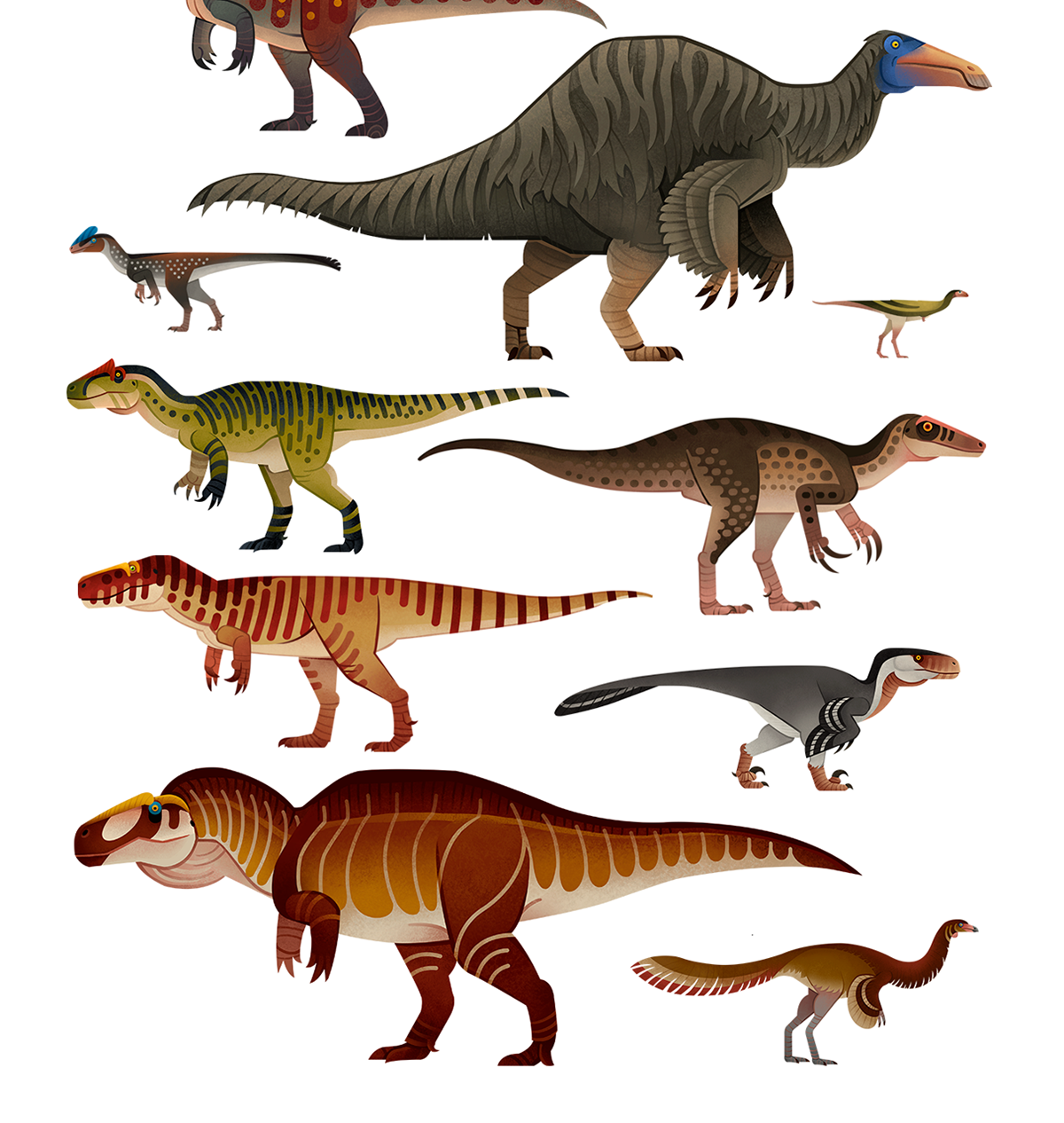 paleoart scientific illustration ILLUSTRATION  infographic Dinosaur poster animal illustration evolution creature paleontology