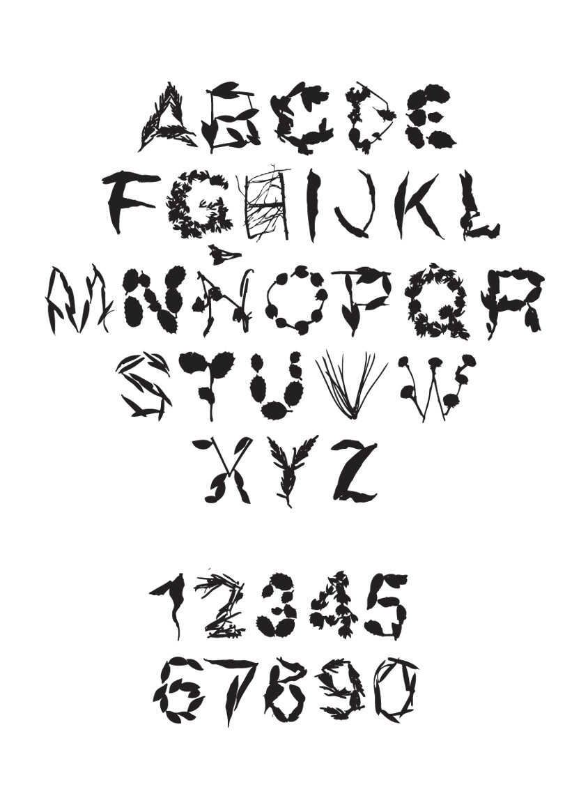 serigrafia leaves hojas Serigraphy type tipo tipografia