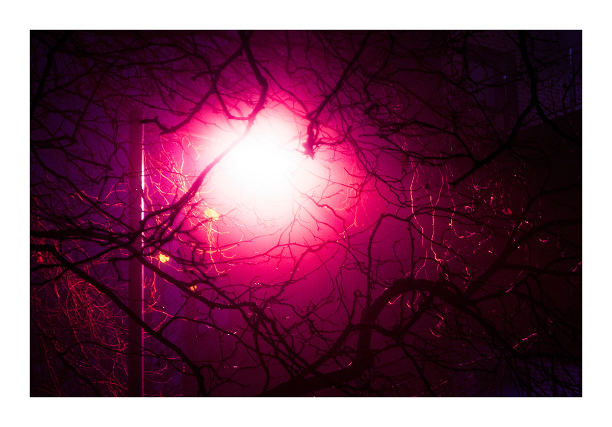 photogrpahy digital photography  night photography fog night Dark Ambient Photography Digital Art  art dslr Moody