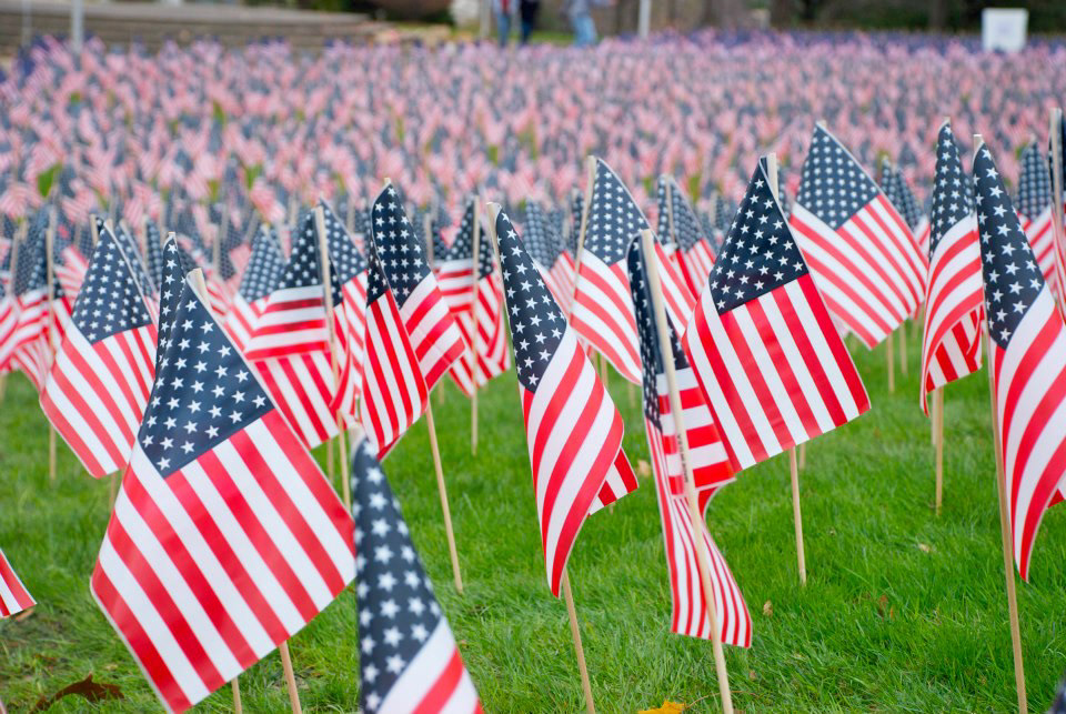flags america usa Marywood Veterans Day love for country War freedom red White blue Brave souls sacrifice
