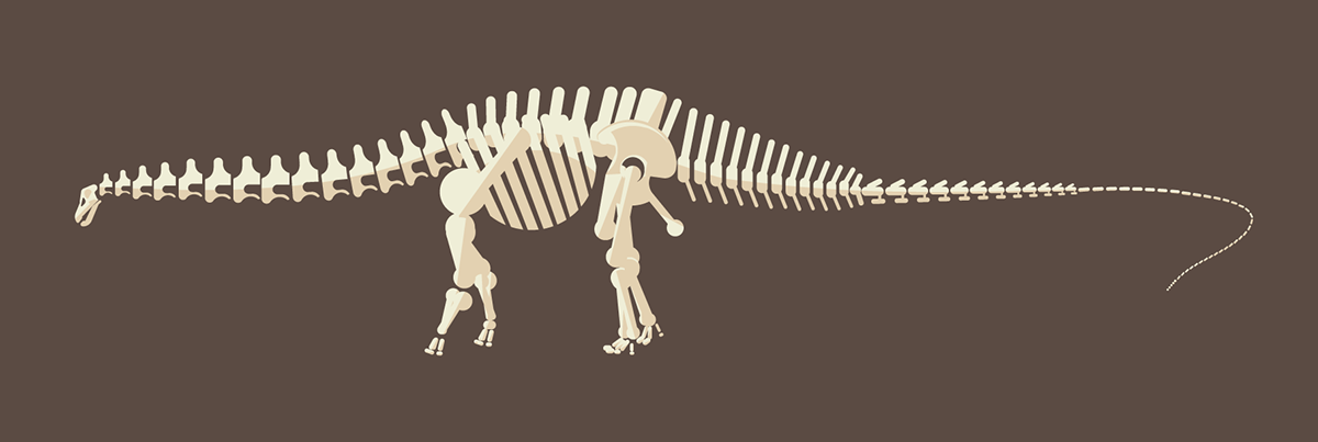 vector skeleton tentecal Dinosaur
