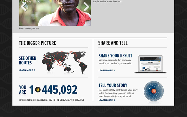 national geographic infographics microsite the genographic project