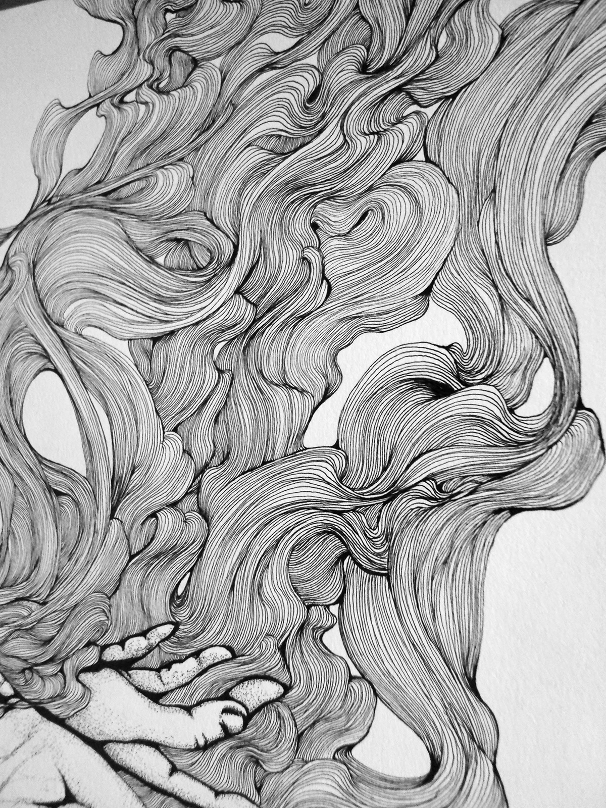 Lady hair wind Rotring ink black White