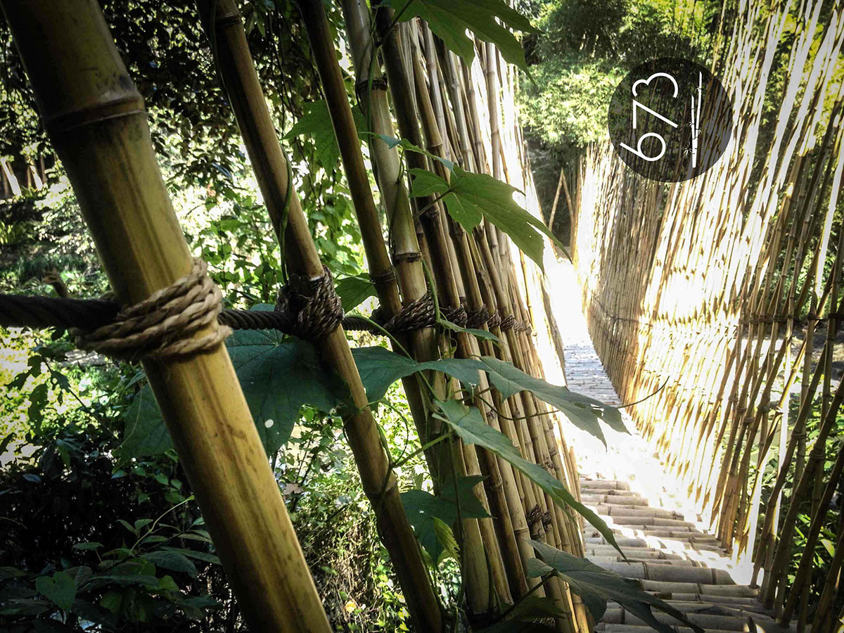 bamboo design Sustainable green bridge