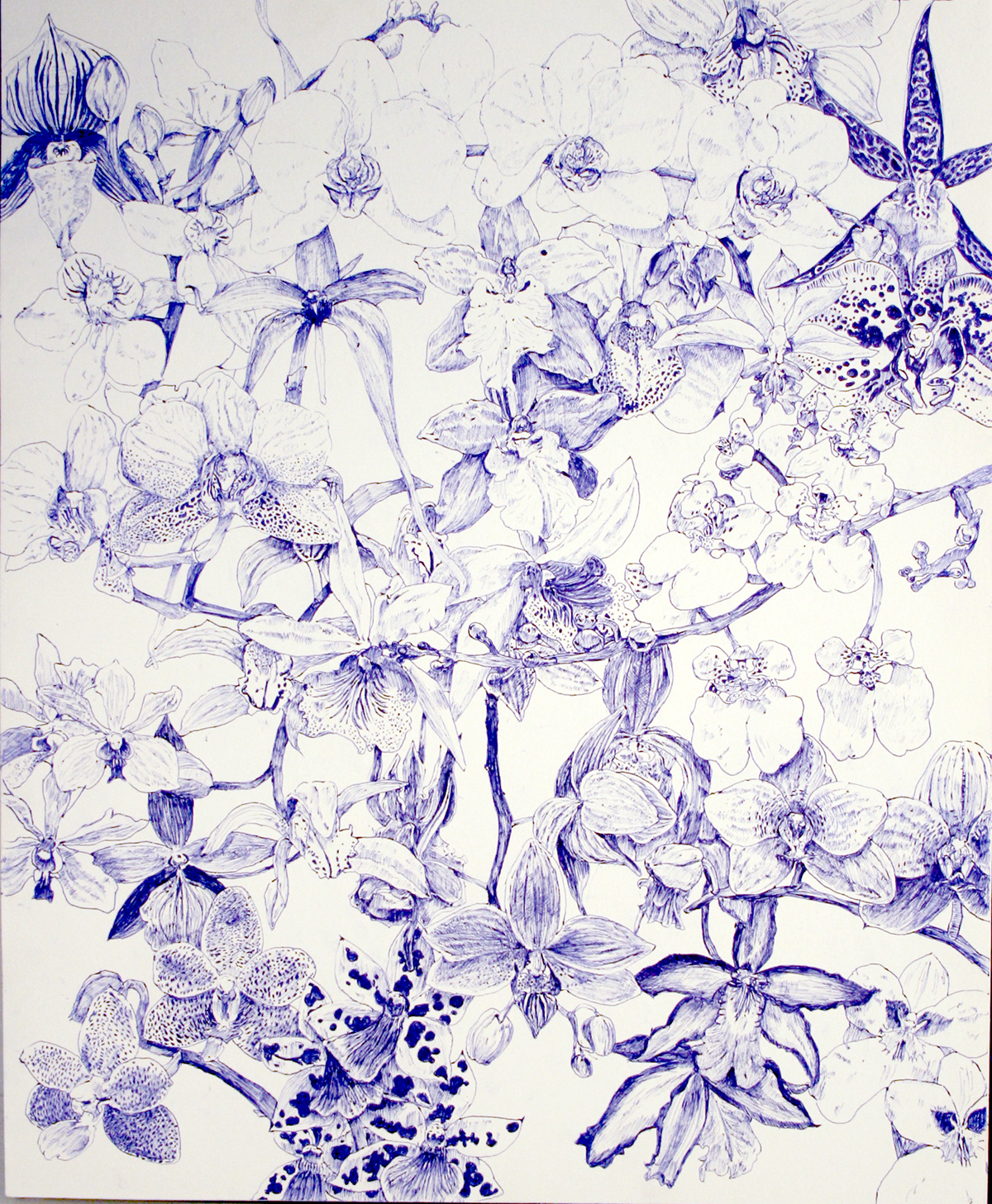 orchids biro Flowers sweet ballpoint pen Pen on Paper One day lancer pen precision pattern organic handmade blue White Plant
