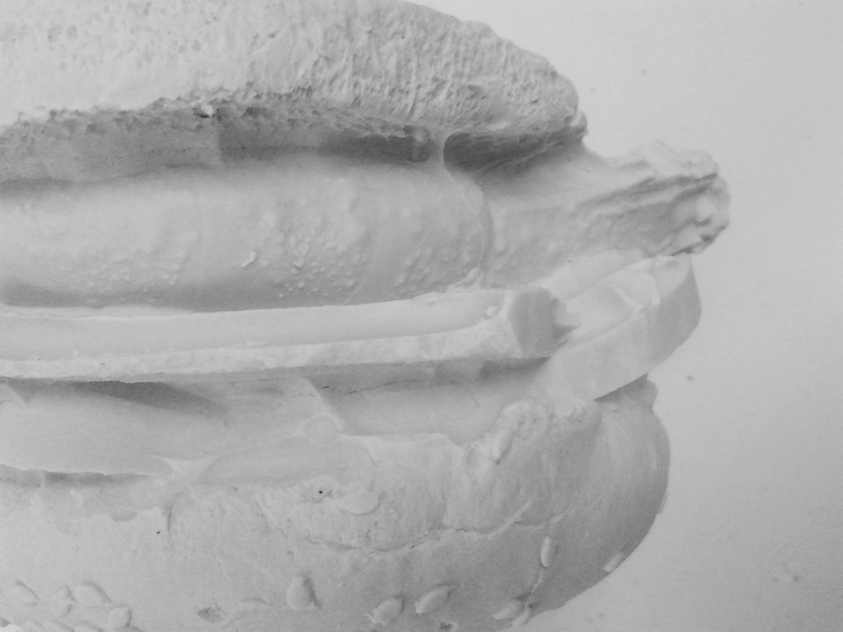 burger hamburguer reis Valdrez Reis Valdrez slow food slow gourmet concept manifesto