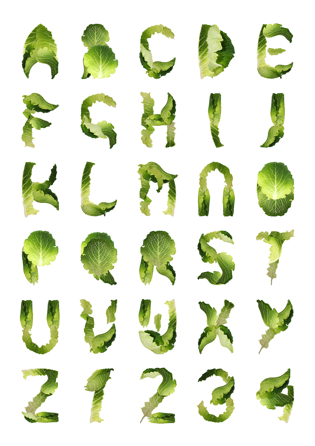 lettering type typography   font Food  graphic design  handmade font New Zealand vegetables TikTok