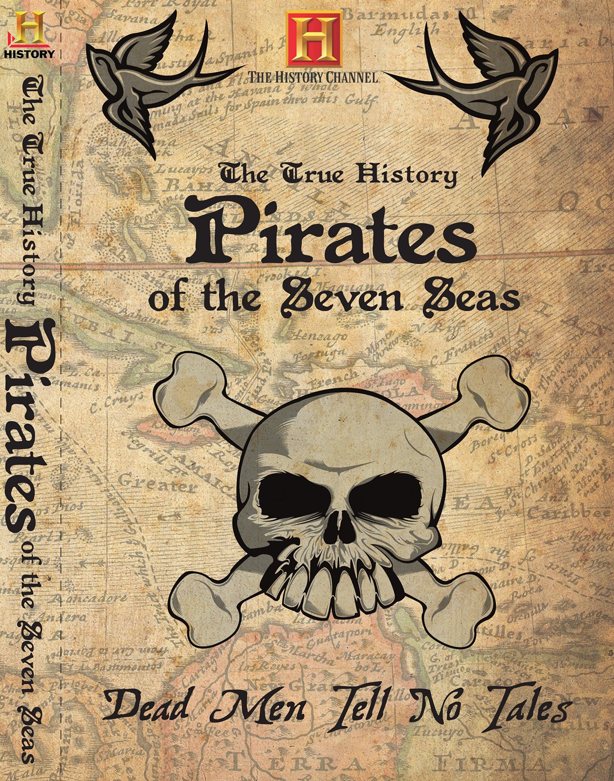 pirates  DVD  case  seven seas  history packagiing design Illustrator photoshop seven seas