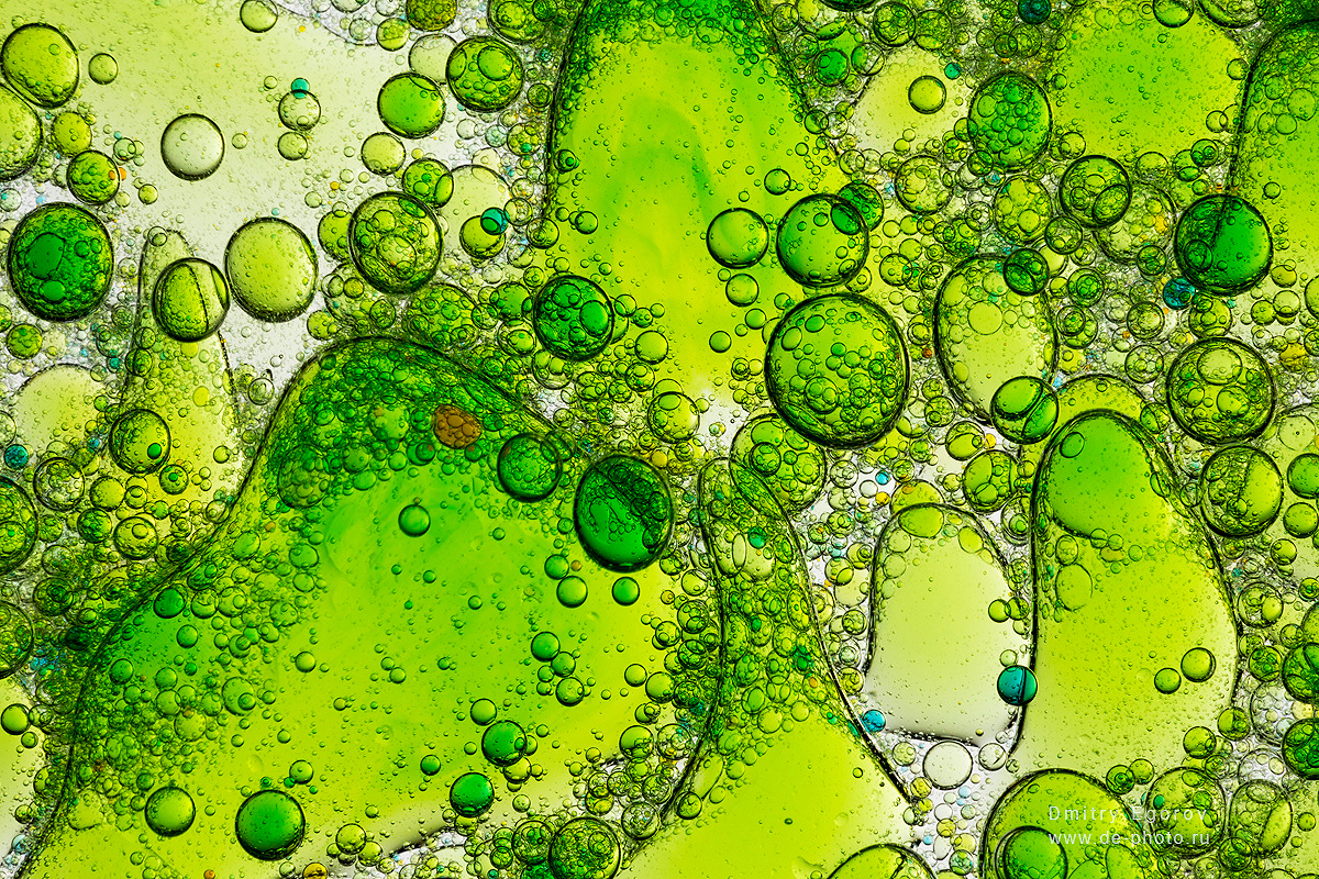 Liquid water beer Photography  abstract photo colour