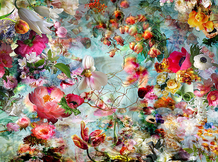 isabelle menin Landscape Flowers Digital Art  fine art photography summer colors