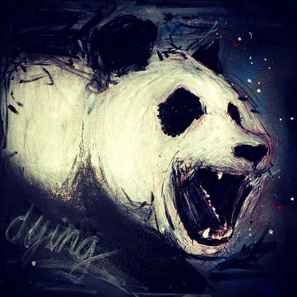 Panda  dying Aggressive blood angry teeth pandas WWF wounded