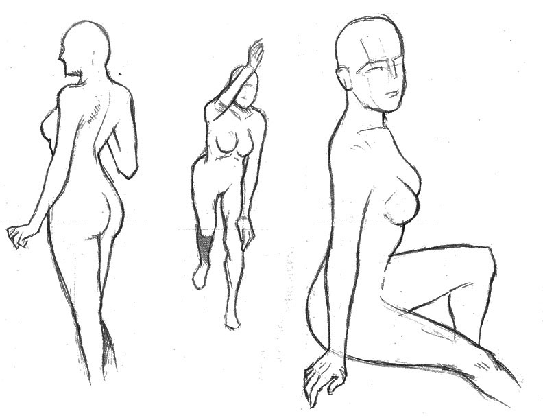 anatomy Human Figure Figure Drawing sketching proportion pencil TRADITIONAL ART doodle Figure Study figure sketch