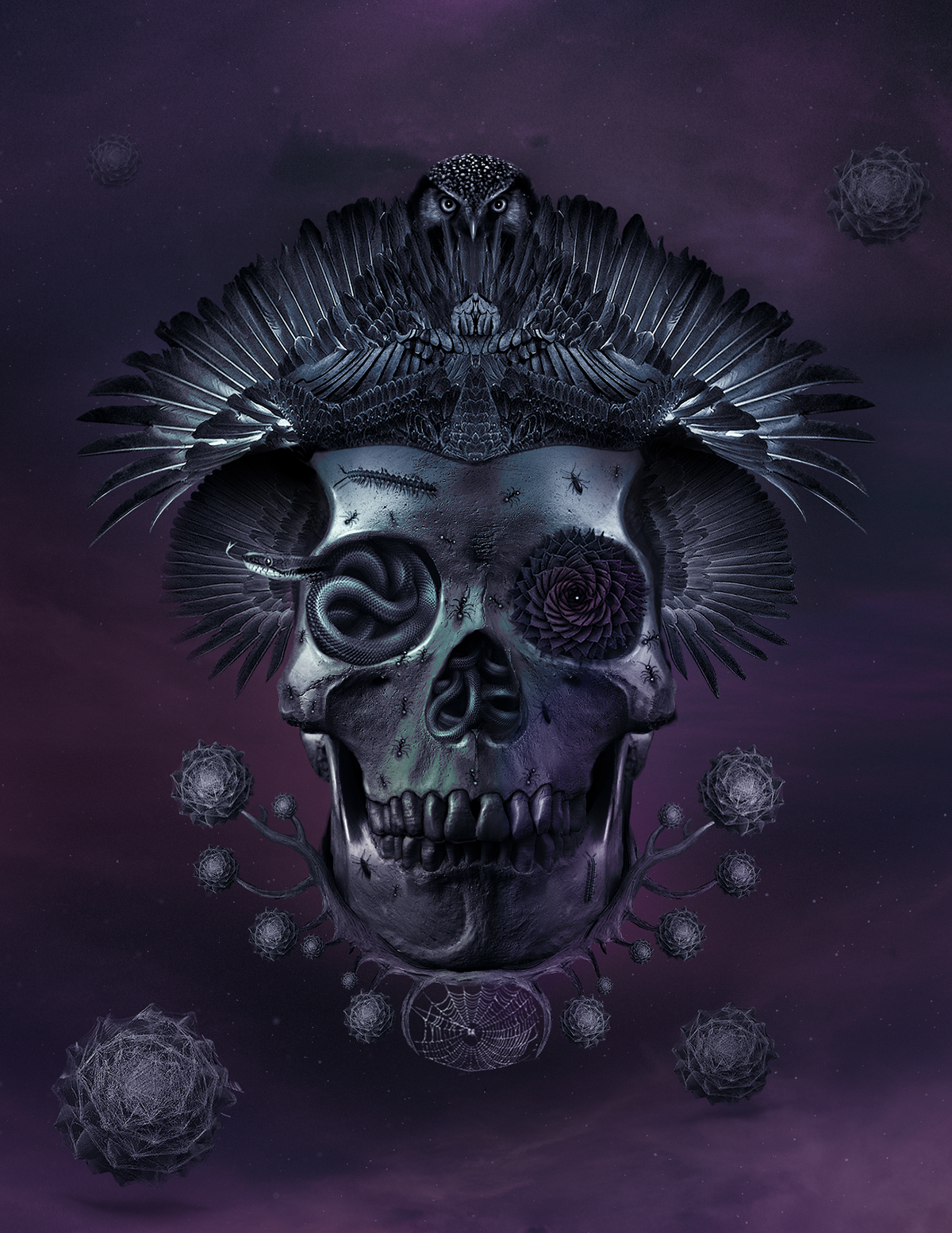 surreal skull owl black dark ismail akyıldız digital illustration