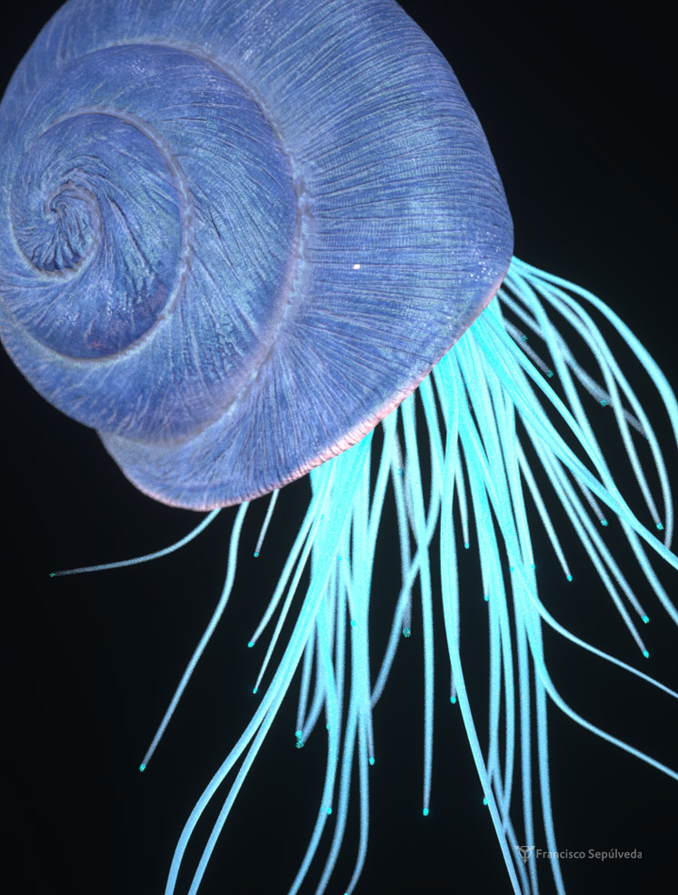 Spiral CG Digital Sculping 3D digital art snail shell light blue sea deep stile grphics concept cool ars clean