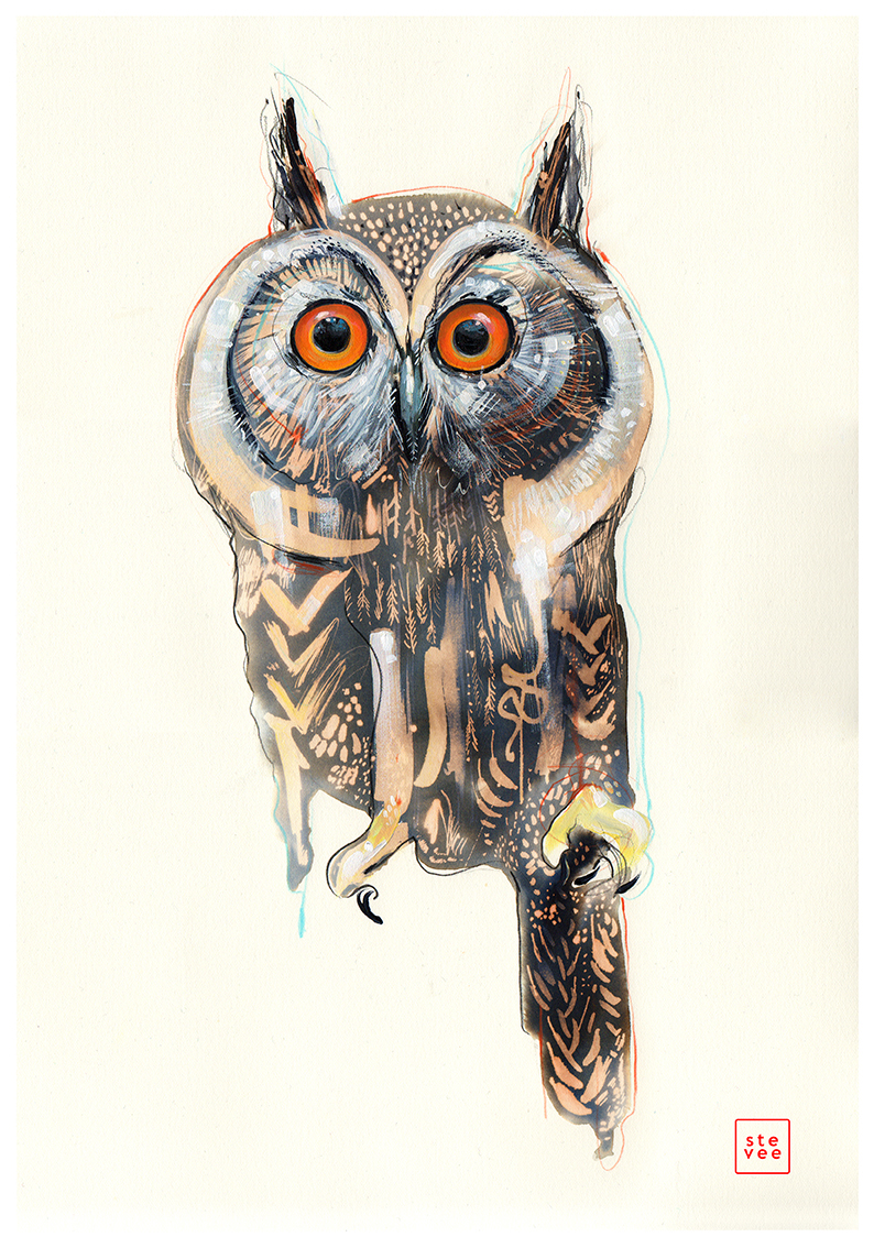 owl barn owl Expressionism expressionist contemporary FINEART painting   originalart birdart power