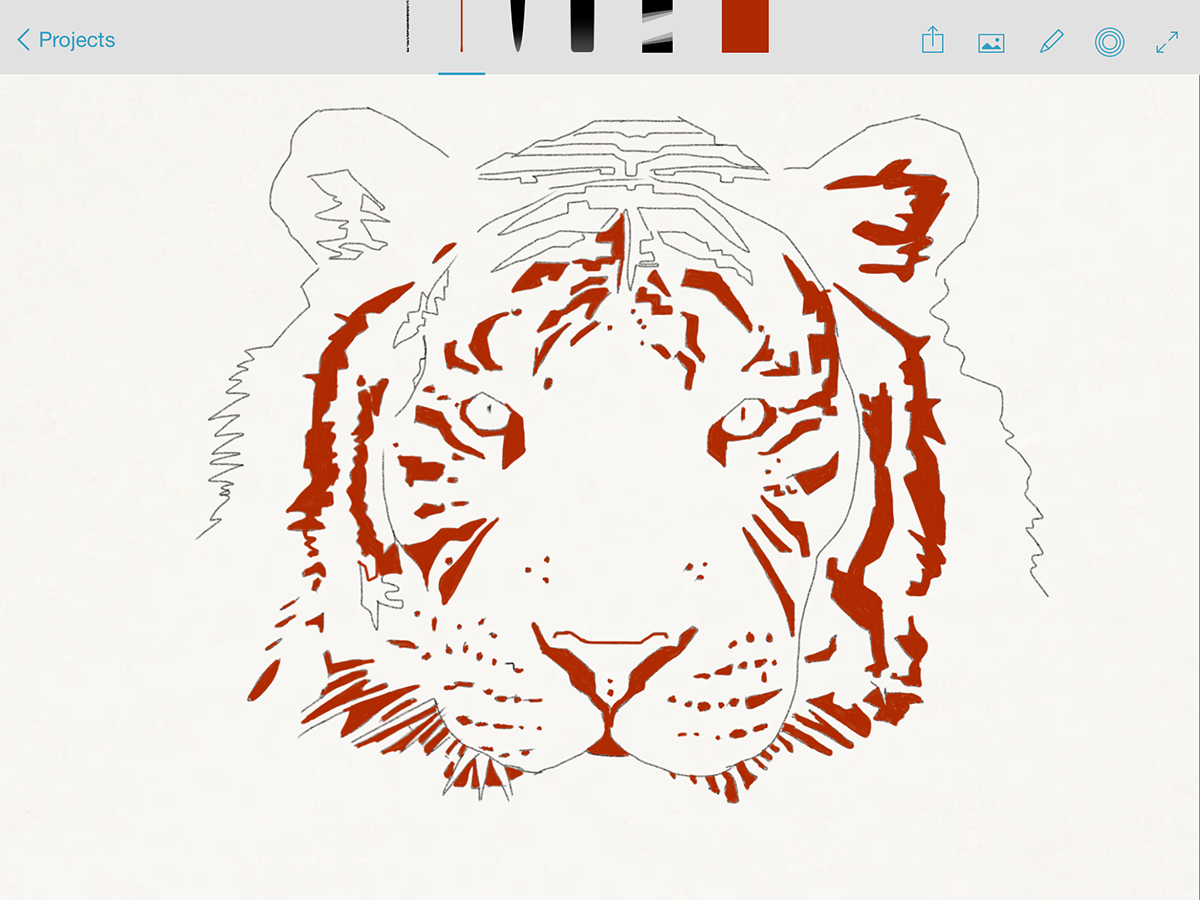 sketch iPad adobe adobe sketch step-by-step colors quick color tiger Nature Cheese