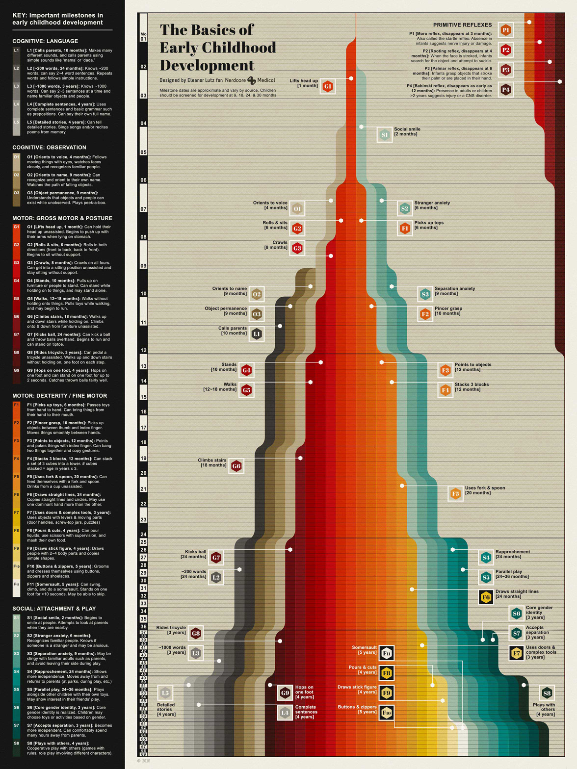 Adobe Portfolio science infographic medicine