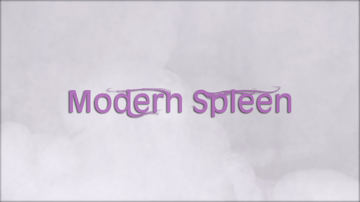 supinfocom modern spleen Canal+ Laboratoire lisa lugrin clément xavier
