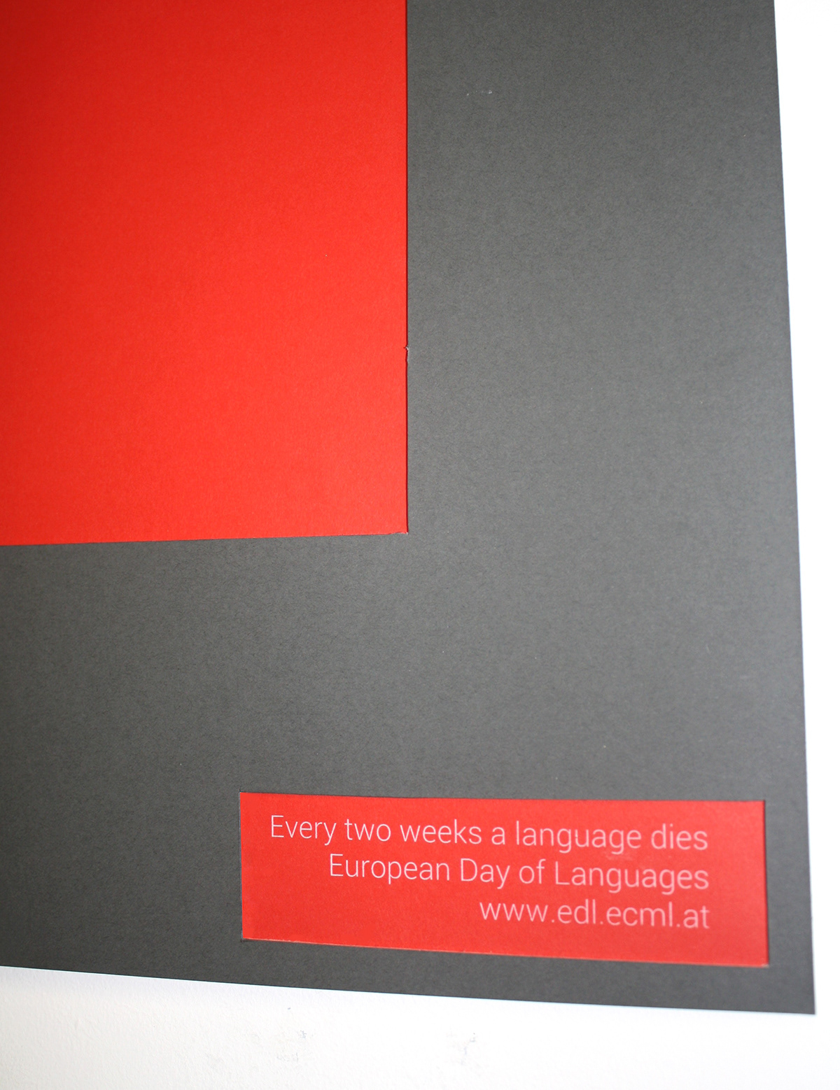 Languages editorial design   screen printing  poster design  Website design
