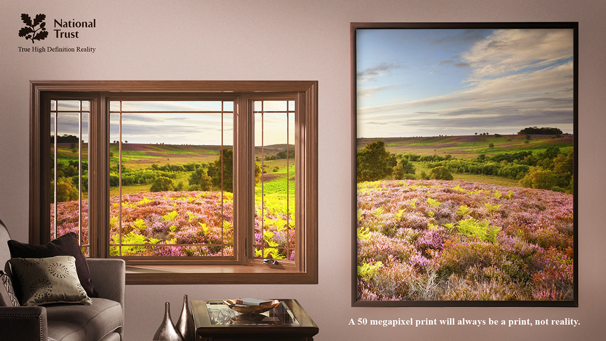 NationalTrust print campaign Ambient case history Nature reality D&AD new blood billboard