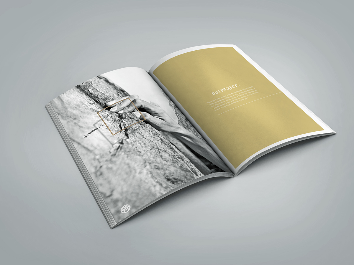 real estate property business Annual Report Design singapore asia