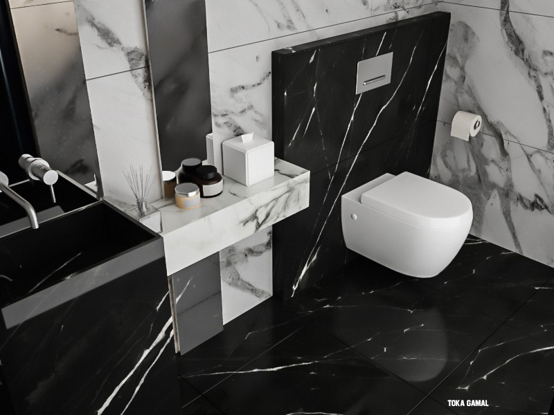 architecture interior design  modern 3ds max vray bathroom water
