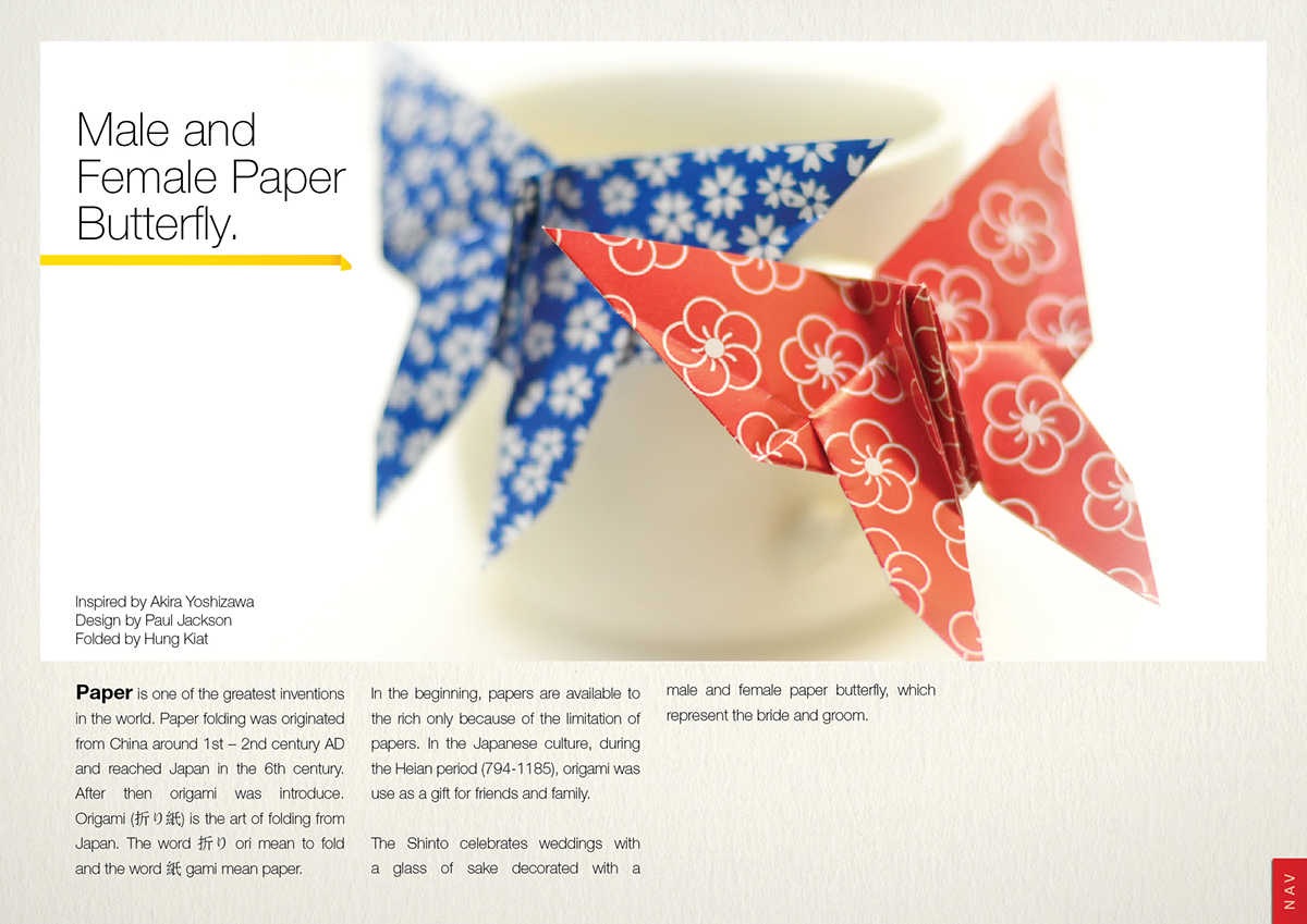 Adobe Portfolio origami  davidhktan e-book design typographic paper folding Colourful  japan artist book design