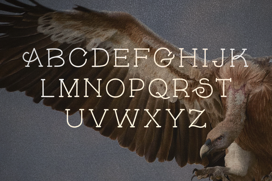 font skybird serif