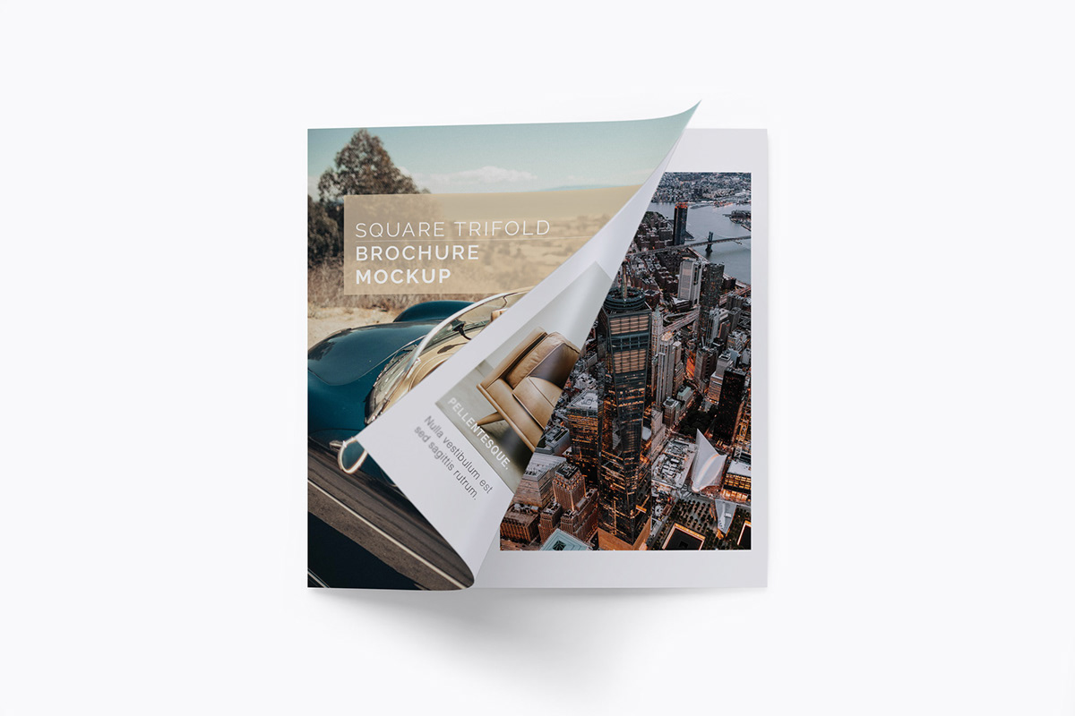 Web Design  graphic design  Stationery brochure branding  Mockup mock-up stationery design design trifold